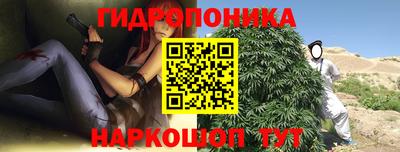 ECSTASY Тула