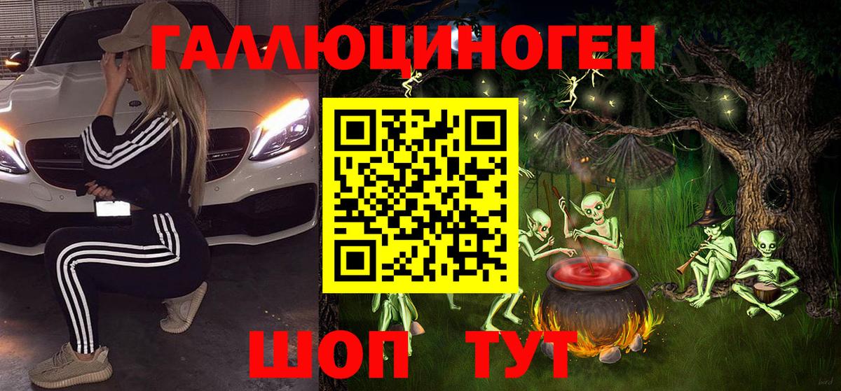 Псилоцибиновые грибы Psilocybe Новосибирск