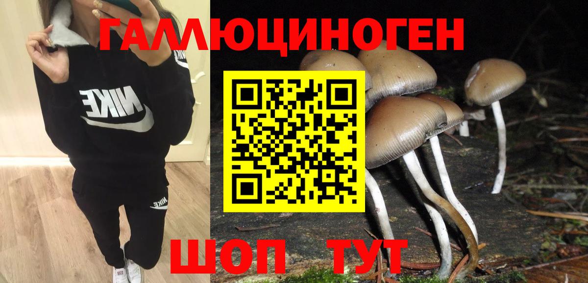 Галлюциногенные грибы Новосибирск